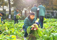 <b>成都市新都区旃檀中学关工委开展“悦劳动·越幸福”丰收节活动</b>