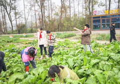 <b>成都市新都区斑竹园小学校关工委开展“沁园”劳动实践基地活动</b>