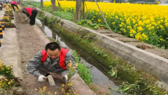 <b>成都市新都区桂湖街道天官村关工委开展“植此青绿  播种春天”植树节植绿护</b>