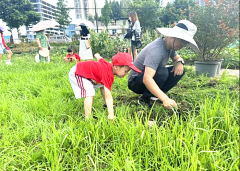 <b>成都市新都区斑竹园街道忠义社区关工委开展可食地景微更新活动</b>