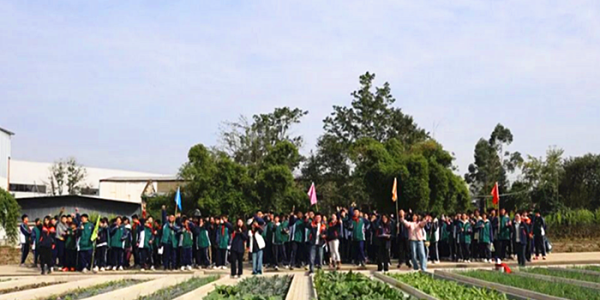 成都市新都区马家中学关工委开展“躬耕知农辛•实践悟真知”秋季学期劳动实践活动