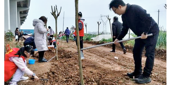 成都市新都区石板滩街道兴胜村关工委开展“春风拂绿意，携手植新苗”植树公益活动