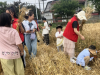 成都市新都区新繁街道蟇水村关工委开展“四时有序 农耕有约”之收麦子体验活动